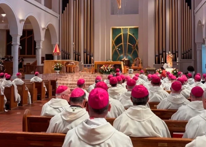 Los obispos de Estados Unidos consagran la nación al Sagrado Corazón de Jesús